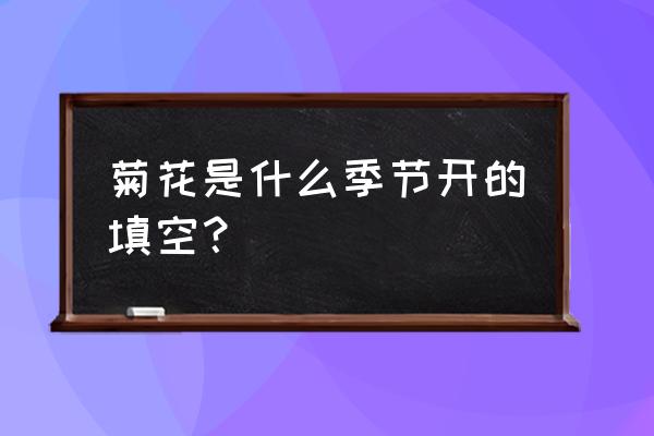 菊花是哪个季节开放的开的 菊花是什么季节开的填空？