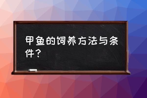 甲鱼怎么养永久甲肴水产 甲鱼的饲养方法与条件？