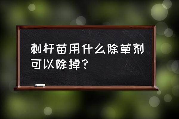 带刺的草用什么除草剂去除最好 刺杆苗用什么除草剂可以除掉？