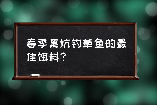 春天养鱼塘的鱼用什么鱼饵好 春季黑坑钓草鱼的最佳饵料？