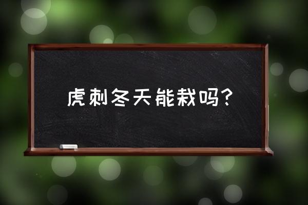 盆栽虎刺梅怎么过冬 虎刺冬天能栽吗？