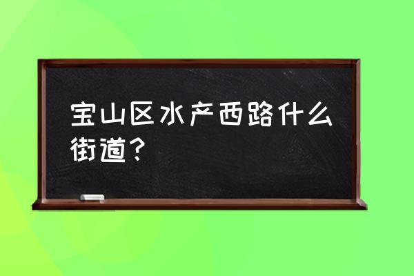 宝山区水产路是什么镇 宝山区水产西路什么街道？