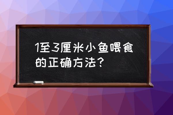 3厘米的鱼苗吃饲料吗经验专题 1至3厘米小鱼喂食的正确方法？