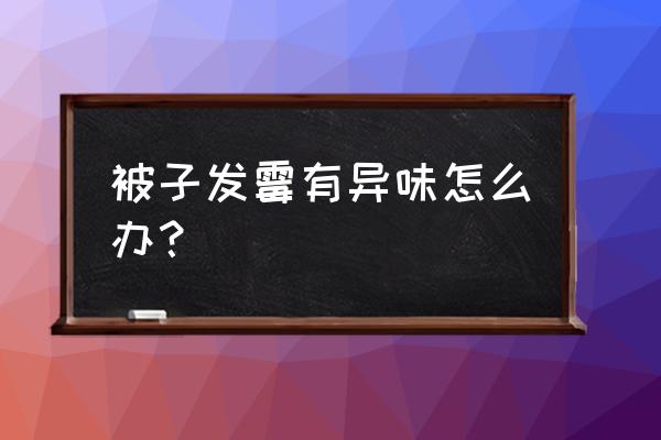 被子如何快速去除霉味 被子发霉有异味怎么办？