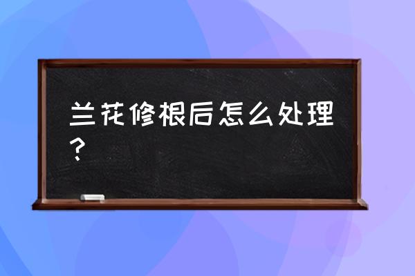 兰花剪过根要用多菌灵泡吗 兰花修根后怎么处理？