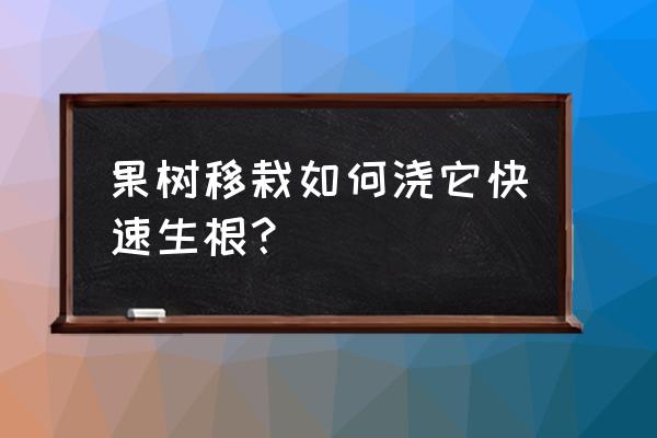 移栽果树苗要定根肥料吗 果树移栽如何浇它快速生根？