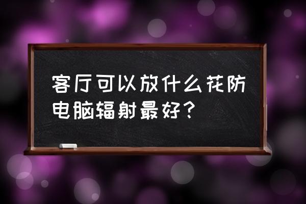 电脑防辐射发财树管用吗 客厅可以放什么花防电脑辐射最好？