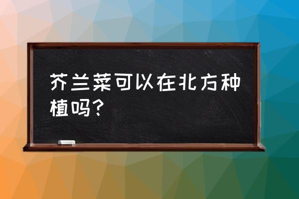 蚌埠地区可以种芥兰吗 芥兰菜可以在北方种植吗？