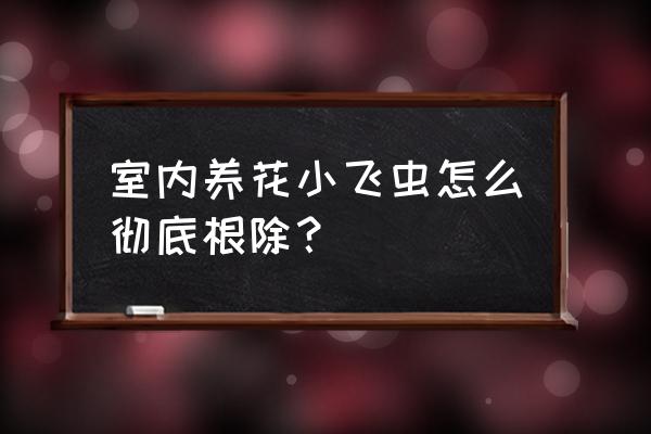 花盆特别多小飞虫怎么办 室内养花小飞虫怎么彻底根除？