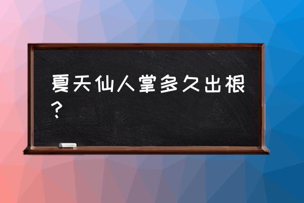 仙人掌多久能生根 夏天仙人掌多久出根？