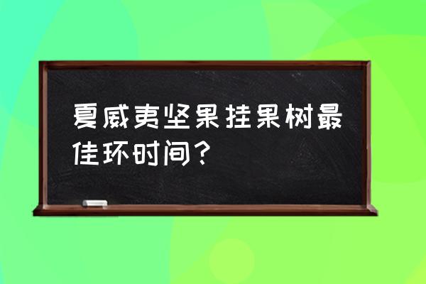 夏威夷果树在什么季节种植 夏威夷坚果挂果树最佳环时间？