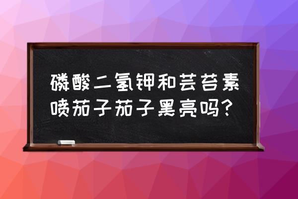 茄子能否喷叶面肥 磷酸二氢钾和芸苔素喷茄子茄子黑亮吗？