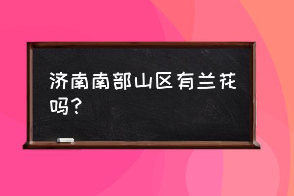 山东境内有野生兰花吗 济南南部山区有兰花吗？