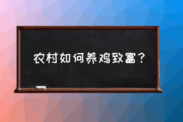 想在农村创业做什么好养鸡 农村如何养鸡致富？