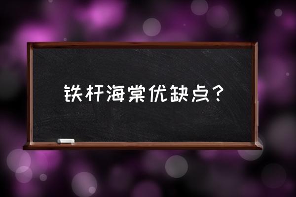 铁皮海棠和铁杆海棠一样吗 铁杆海棠优缺点？