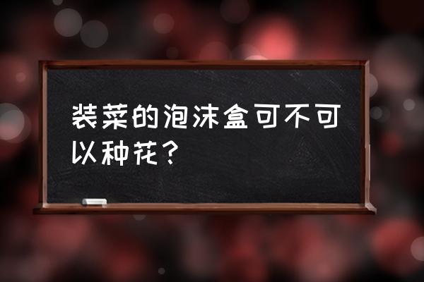 一次性饭盒能当花盆吗 装菜的泡沫盒可不可以种花？