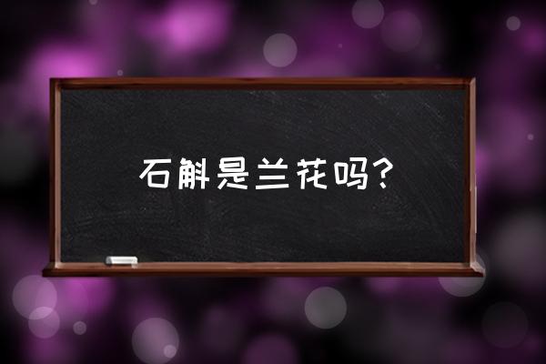 铁皮石斛是兰花的一种吗 石斛是兰花吗？