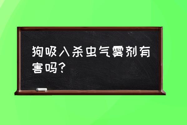 狗吸入了杀虫剂会怎样 狗吸入杀虫气雾剂有害吗？