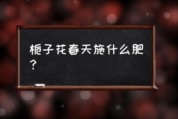 栀子花可施磷肥吗 栀子花春天施什么肥？