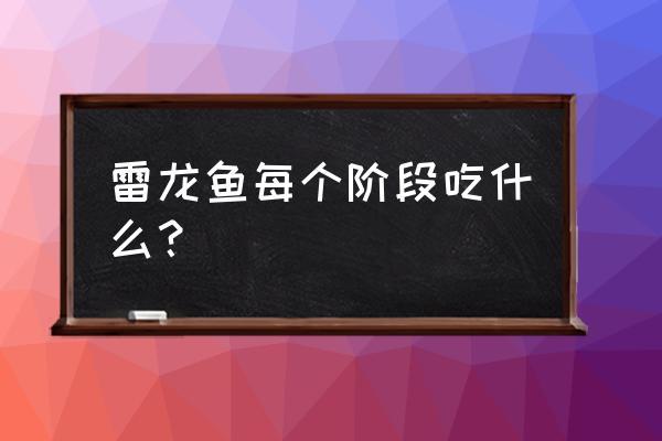 雷龙怎样才能吃饲料 雷龙鱼每个阶段吃什么？