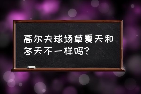 重庆高尔夫球场是什么草 高尔夫球场草夏天和冬天不一样吗？