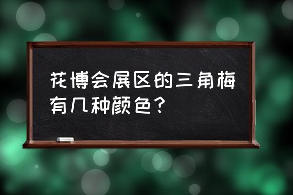 三角梅花颜色有几种 花博会展区的三角梅有几种颜色？