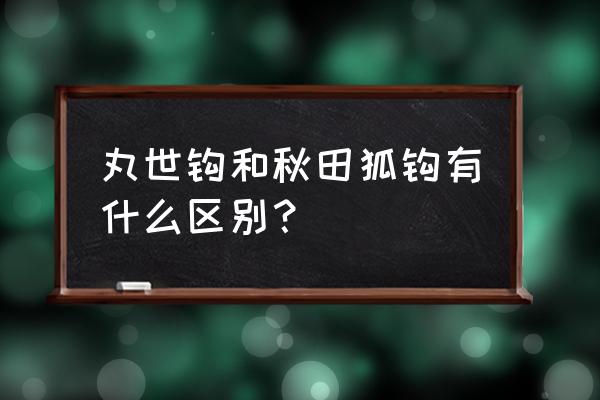 秋田狐与丸世鱼钩哪个好 丸世钩和秋田狐钩有什么区别？