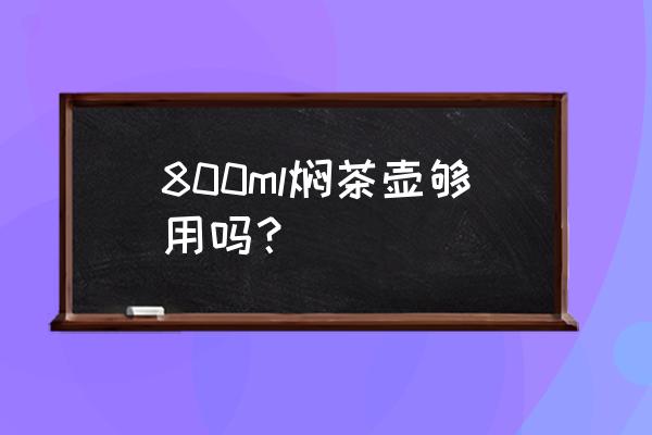 宝宝焖烧杯多大的合适 800ml焖茶壶够用吗？