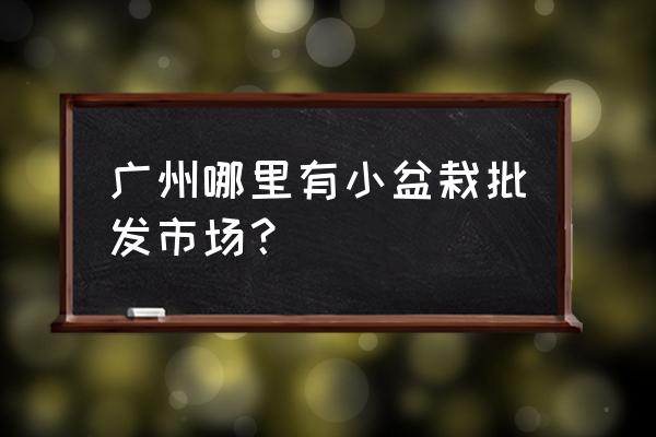 广州在哪里买花盆 广州哪里有小盆栽批发市场？