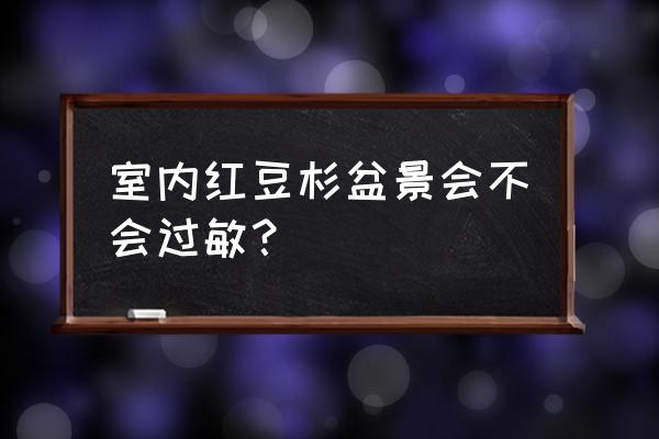 红豆杉盆景会过敏吗 室内红豆杉盆景会不会过敏？