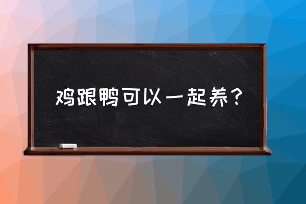 养鸡的同时能养鸭吗 鸡跟鸭可以一起养？