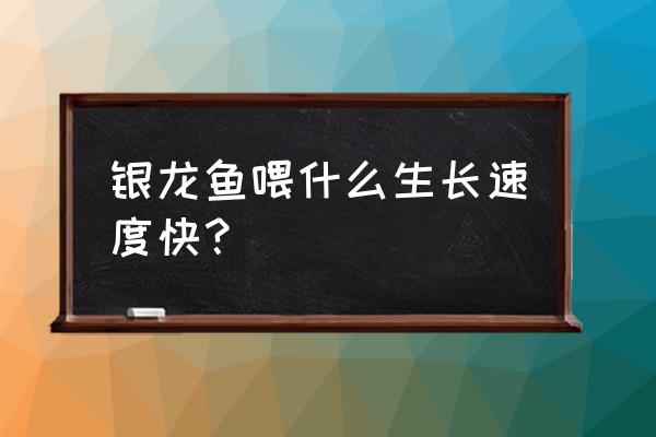 银龙吃饲料长得快吗 银龙鱼喂什么生长速度快？