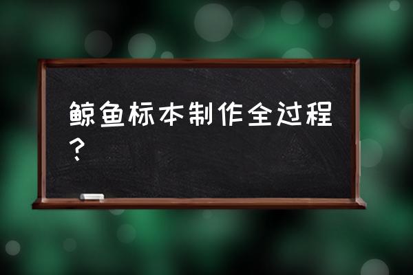 怎么用木头做一个鲸鱼 鲸鱼标本制作全过程？