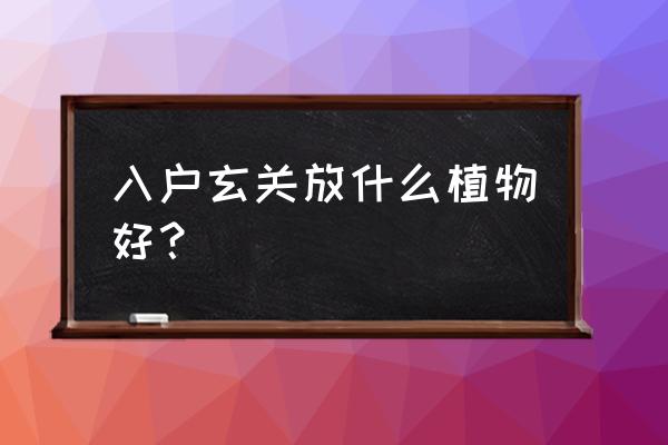 玄关挂幅发财树好吗 入户玄关放什么植物好？