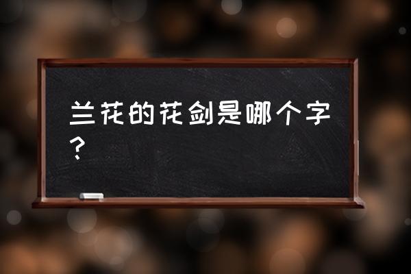 兰花花剑是指什么部位 兰花的花剑是哪个字？