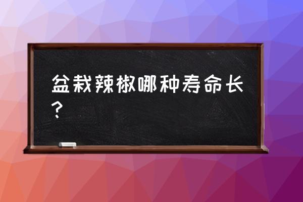 花盆适合种什么辣椒 盆栽辣椒哪种寿命长？