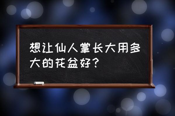 仙人掌适合哪种花盆 想让仙人掌长大用多大的花盆好？