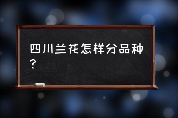 四川传统兰花品种有哪些 四川兰花怎样分品种？