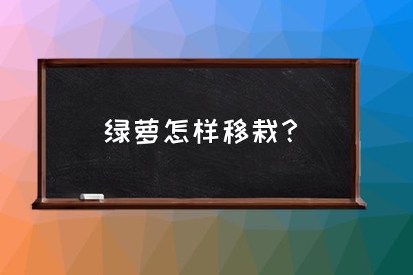 种在花盆里的绿萝怎么移植 绿萝怎样移栽？