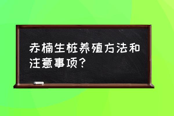 对生赤楠做盆景好不好 赤楠生桩养殖方法和注意事项？