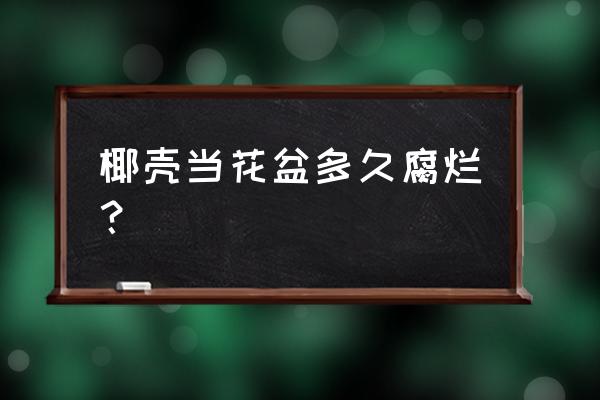 椰子壳做花盆底下还要留眼吗 椰壳当花盆多久腐烂？