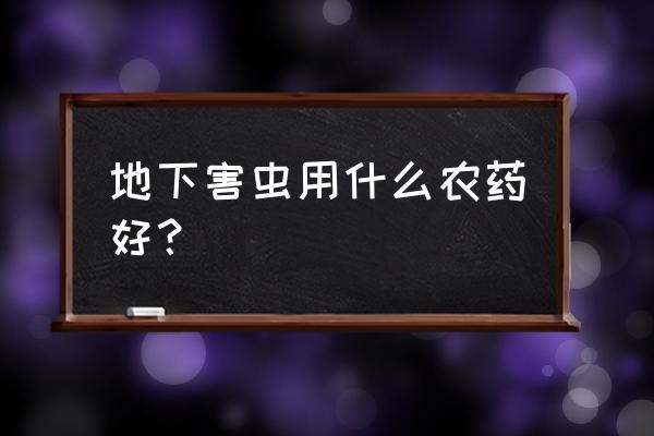 地下害虫杀虫剂批发哪家最好 地下害虫用什么农药好？