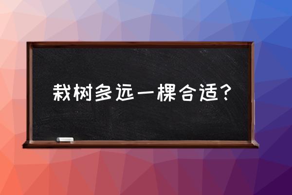 苗木运距人工养护一般多少一颗 栽树多远一棵合适？