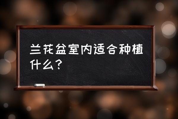 兰花盆还能种什么作用 兰花盆室内适合种植什么？