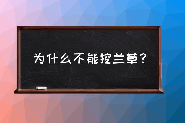 野生兰花为什么不能采 为什么不能挖兰草？