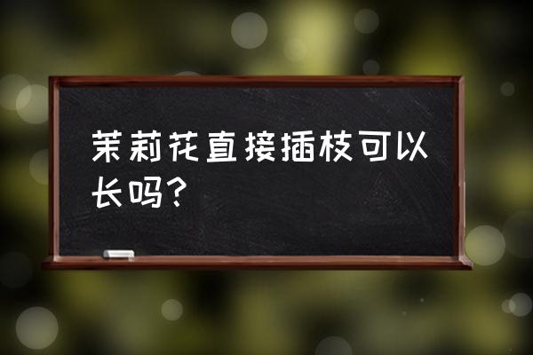 盆栽茉莉可以插技吗 茉莉花直接插枝可以长吗？