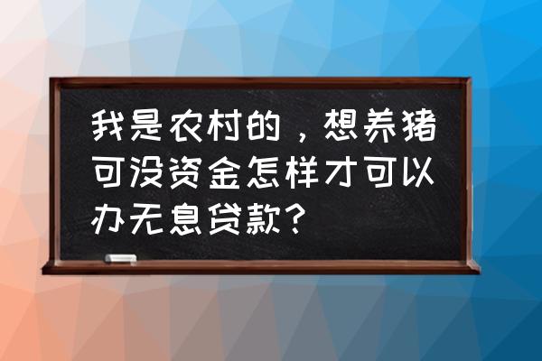 金寨养猪场产业扶贫贷款有吗 我是农村的，想养猪可没资金怎样才可以办无息贷款？