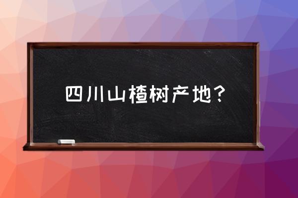 哪里出售甜红子山楂树苗 四川山楂树产地？