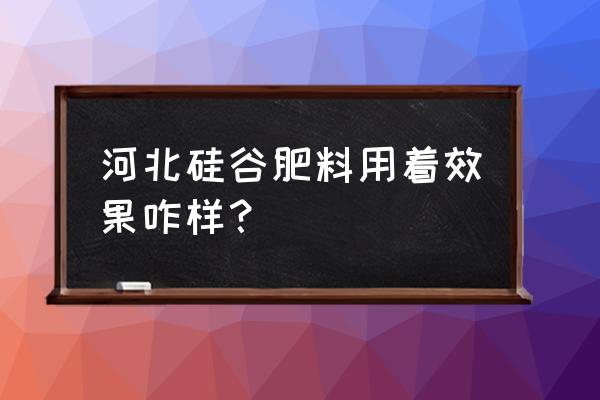 硅谷复合肥哪家强 河北硅谷肥料用着效果咋样？