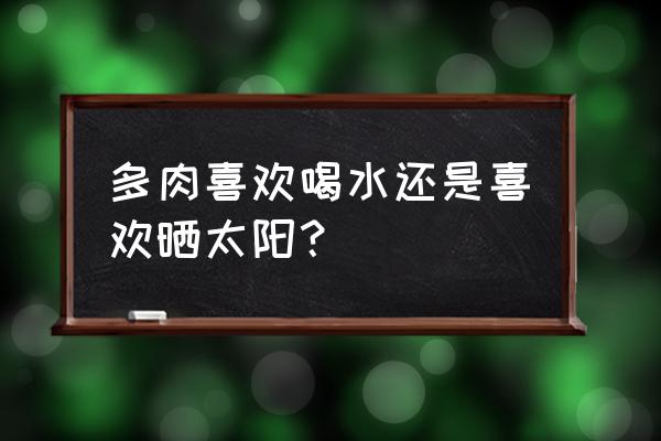 肉里花卉喜欢什么水 多肉喜欢喝水还是喜欢晒太阳？